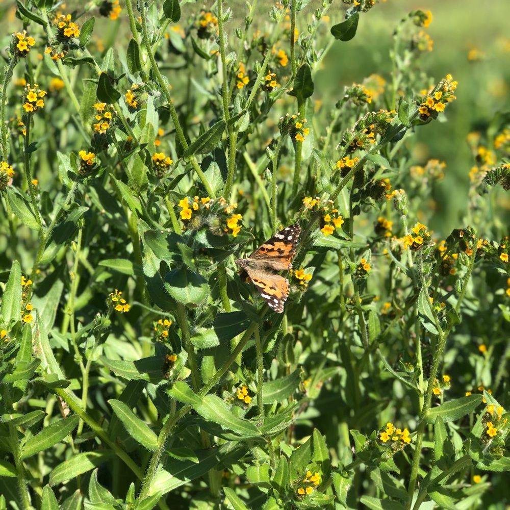 Meet your Posher, Whitney